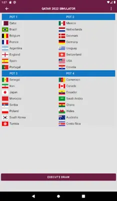 Qatar 2022 World Cup simulator android App screenshot 14