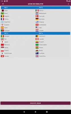 Qatar 2022 World Cup simulator android App screenshot 6